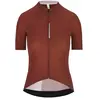 Image de Q36.5 Maillot à Manches Courtes Dottore Pro