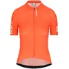 Image de Q36.5 Maillot à Manches Courtes Gregarius Pro Signature