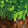 Image de Minecraft Volume Alpha, Disque vinyle