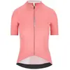 Image de Q36.5 Maillot à Manches Courtes Dottore Pro