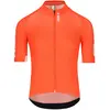 Image de Q36.5 Maillot à Manches Courtes Gregarius Pro Signature