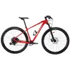 Image de Formigli Vtt R1 Carbon 29´´