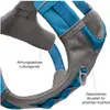Image de Kurgo Journey Air (S, Chien, Général), Collier + laisse