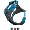 Image de Kurgo Journey Air (L, Chien, Général), Collier + laisse