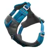Image de Kurgo Harnais Journey Air (XXS, Chien), Collier + laisse