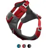 Image de Kurgo Harnais Journey Air (M, Chien, Général), Collier + laisse