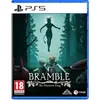 Image de Merge Games, Bramble: The Mountain King (Import)