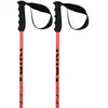 Image de Volkl Bâtons Speedstick