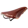 Image de Brooks England Selle B17 Special Titanium