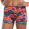 Image de Zoot Shorts De Triathlon Ltd 4 ´´