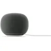 Image de Enceinte sans fil Google Home Hazel