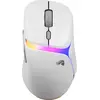 Image de Glorious Model D 3 Wireless Mouse White (Sans fil), Souris, Blanc