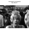 Image de The Anxiety Of Symmetry