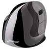 Image de Evoluent Souris Sans Fil Vmdlw