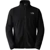 Image de North Face, Hommes, Vestes d'extérieur, Veste Evolve II Triclimate (S), Noir, S