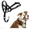 Image de Company of Animals Halti Black Kopfgeschirr 2 (2, Chien, Général), Collier + laisse