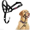Image de Company of Animals Haiti (Taille unique, Chien), Collier + laisse