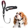 Image de Company of Animals Halti Optifit (M, Chien), Collier + laisse