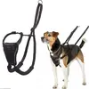 Image de Company of Animals Halti No Pull Antizug S Harness (S, Chien, Général, Promenade, Sport canin), Collier + laisse