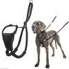 Image de Company of Animals Halti No Pull (L, Chien, Général, Promenade, Sport canin), Collier + laisse