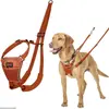 Image de Company of Animals Anti-Zug Hundegeschirr (XS, Chien, Promenade), Collier + laisse