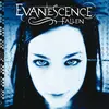 Image de Evanescence-Evanescence:Tomber, Disque vinyle