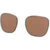 Image de Oakley Verres De Rechange Ojector Prizm Polarized