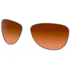 Image de Oakley Verres De Rechange Pasque Prizm