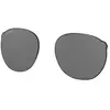Image de Oakley Verres De Rechange Reedmace Prizm