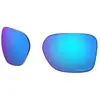 Image de Oakley Verres De Rechange Wildrye Prizm Polarized