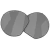 Image de Oakley Verres De Rechange Hstn Prizm Polarized
