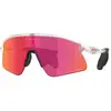 Image de Oakley Lunettes De Soleil Stunt Devil