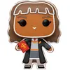 Image de Funko Harry Potter GB POP! Movies Vinyl Figur Hermione 9 cm