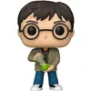 Image de Funko POP Harry Potter w/Hourglass