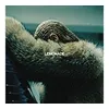 Image de Lemonade