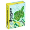 Image de jeu de Cartes Bazarquatik Djeco