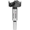 Image de Bosch Professional Zubehör, Foret, Mèche Forstner de 38 mm de longueur totale (10 mm)