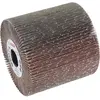 Image de Bosch Professional Zubehör, Abrasifs, Rouleau abrasif à lamelles, 19 mm, 120, 100 mm (120)