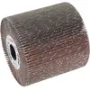Image de Bosch Professional Zubehör, Abrasifs, Rouleau abrasif à lamelles, 19 mm, 180, 100 mm (180)