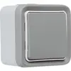 Image de Legrand INTERRUPTEUR 10AX GRIS VA-ET-VIENT 250V, Bouton + interrupteur, Gris