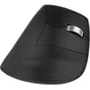 Image de T'nB Souris Sans Fil Ergonomique Verticale Ergo Infinite (Noir) (Sans fil), Souris, Noir