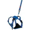 Image de Zolux Easyride Hondentuig Blauw (XL, Chien, Général), Collier + laisse