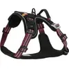 Image de Zolux Bvk Hondentuig Red (XL, Chien, Promenade, Sport canin), Collier + laisse