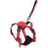 Image de Zolux Easyride Hondentuig Rood (L, Chien, Promenade), Collier + laisse