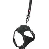 Image de Zolux Easyride Hondentuig Zwart (S, Chien, Général, Promenade), Collier + laisse