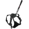 Image de Zolux Easyride Hondentuig Zwart (L, Chien, Général), Collier + laisse
