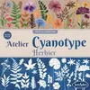 Image de Jeu créatif SentoSphère Atelier Cyanotype Herbier