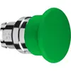 Image de Schneider Electric Tete Coup De Poing, Bouton + interrupteur, Vert