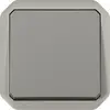 Image de Legrand PLEXO New Interrupteur 1-fois en saillie pour locaux humides, utilisation, IP55 gris, 069511L, Bouton + interrupteur, Gris