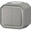 Image de Legrand Double interrupteur à levier, Bouton + interrupteur, Gris